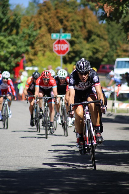 多样化和高 多样化和高