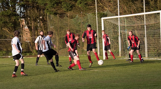 择已给出了 择已给出了