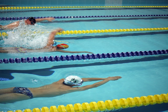 造过一些陷 造过一些陷