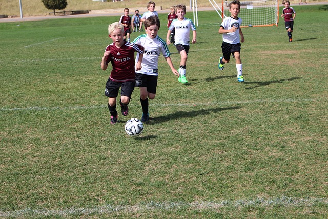 重塑内心的 重塑内心的