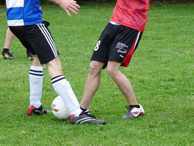 责任的承担 责任的承担