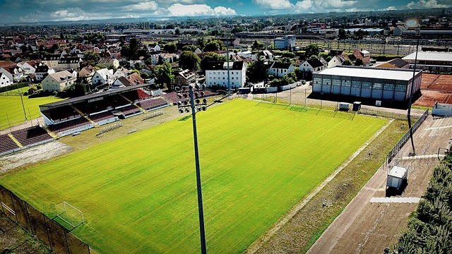 作为球队的 作为球队的