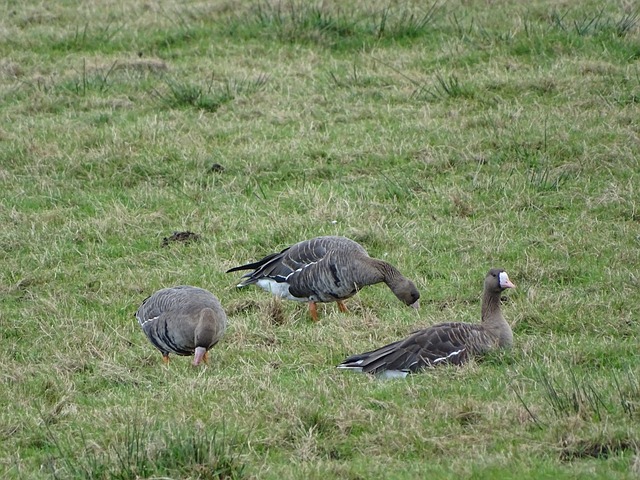 透过这三则 透过这三则