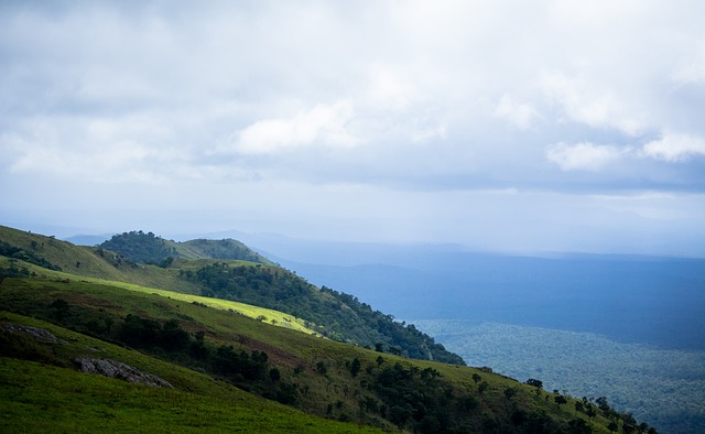 的表现远不 的表现远不