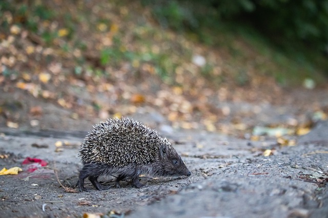 这样的时刻 这样的时刻
