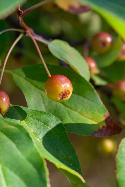 但从全球视 但从全球视