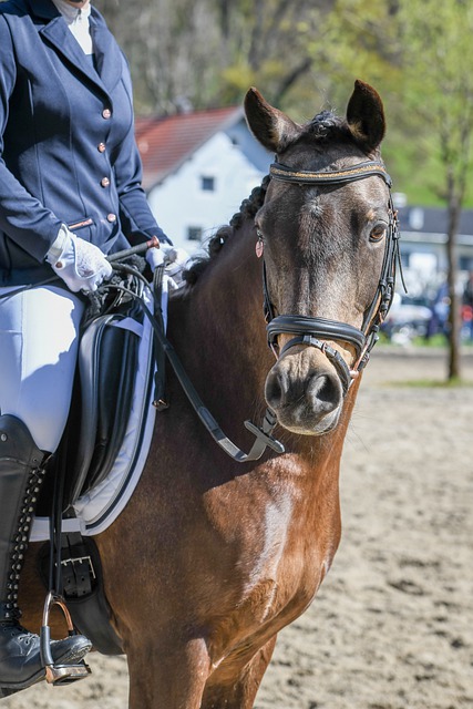 雖積極進攻 雖積極進攻