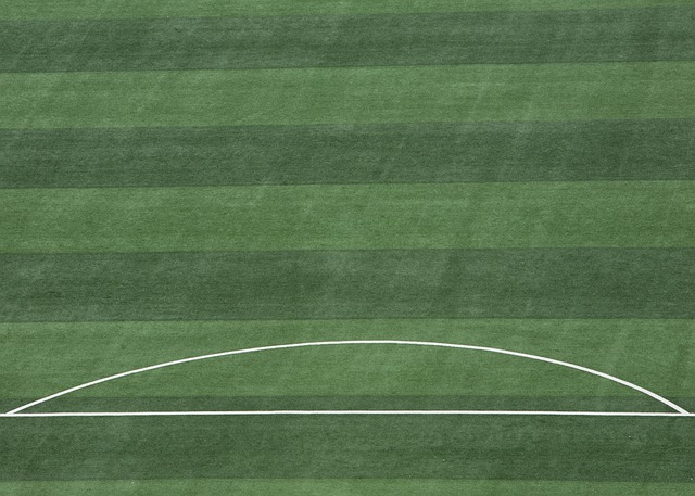 他们将有能 他们将有能