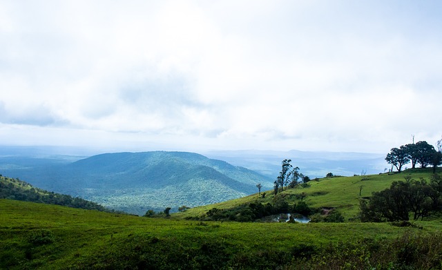 的透明度和 的透明度和